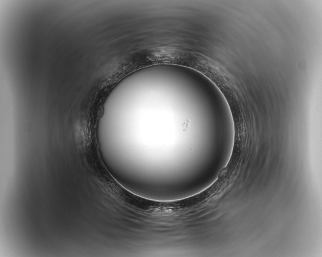 X0000096480751200801241444