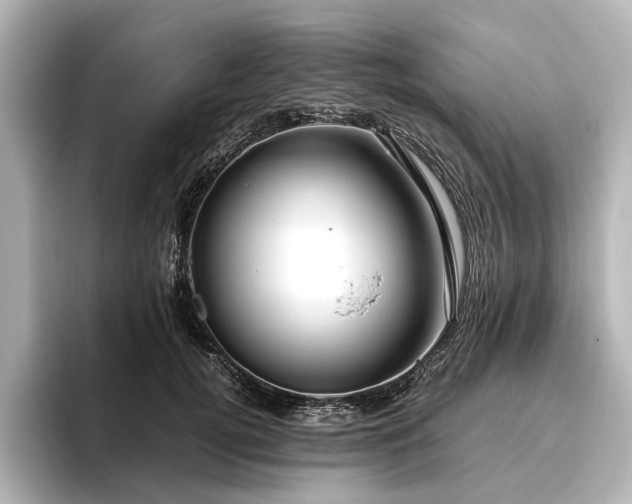 X0000096480752200801241444