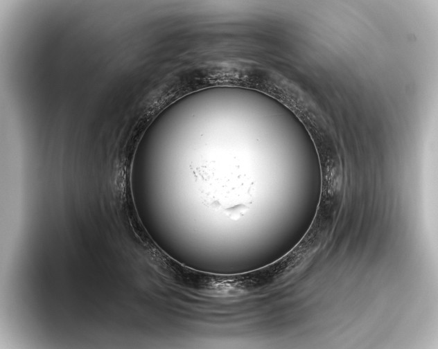 X0000096480753200801241444