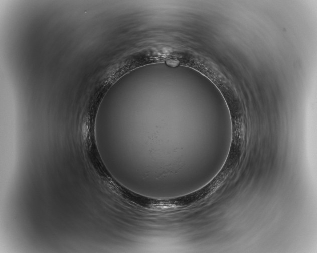 X0000096480754200801241444