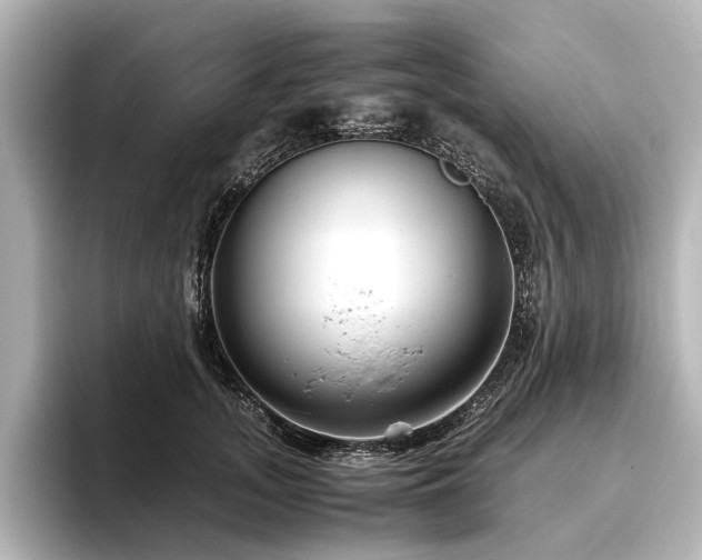 X0000096480755200801241444