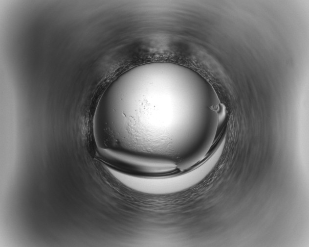 X0000096480756200801241444