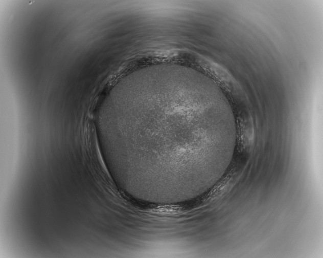 X0000096480758200801241444