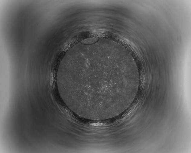 X0000096480759200801241444