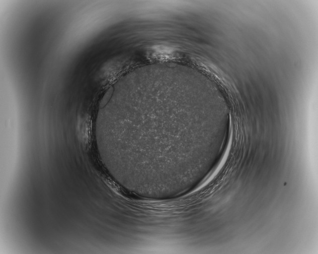 X0000096480760200801241444