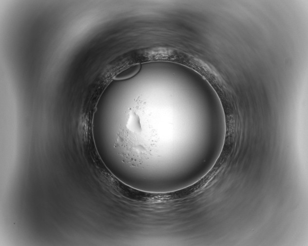 X0000096480761200801241444