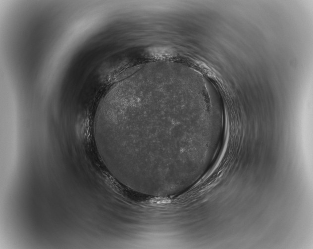 X0000096480762200801241444