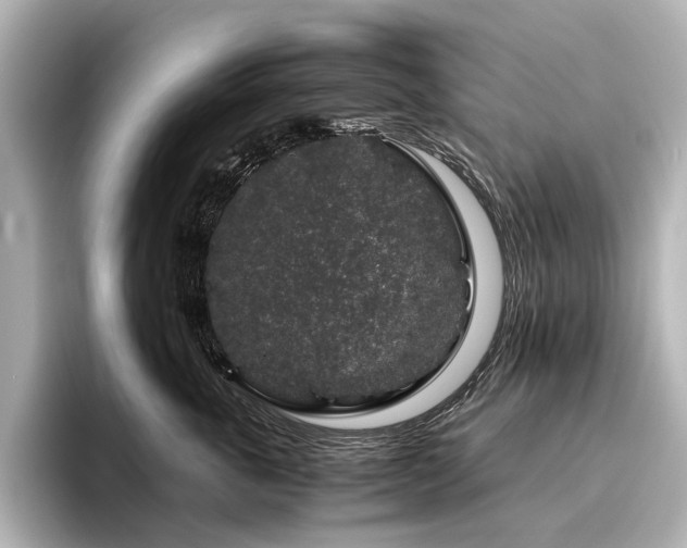 X0000096480763200801241444