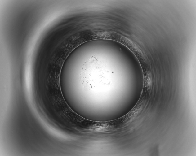 X0000096480764200801241444