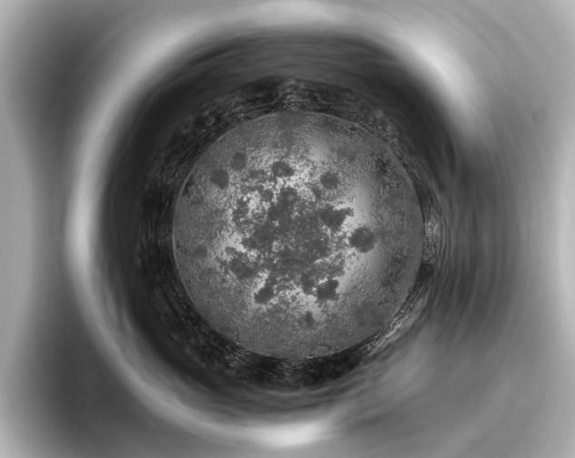 X0000096480765200801241444