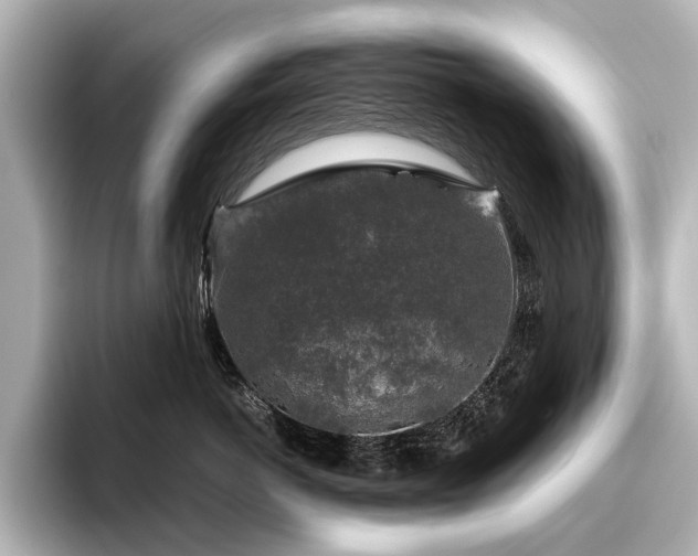 X0000096480766200801241444