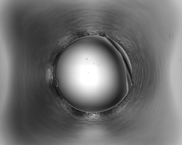 X0000096480768200801241444