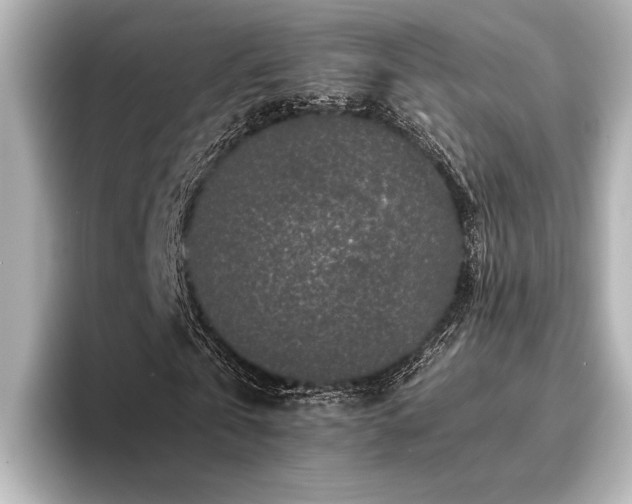 X0000096480769200801241444