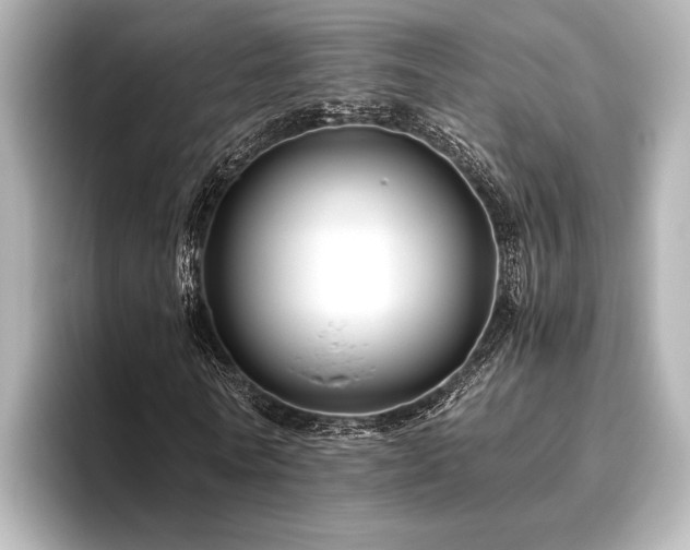 X0000096480770200801241444