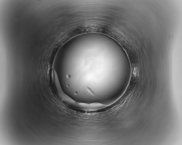 X0000096480771200801241444