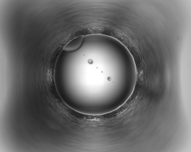 X0000096480772200801241444