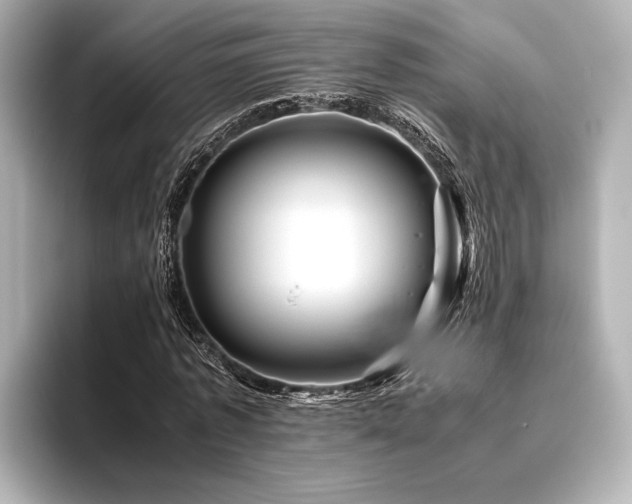 X0000096480773200801241443