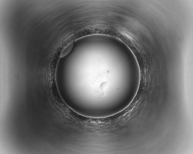 X0000096480774200801241443