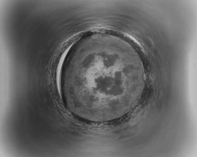 X0000096480775200801241443