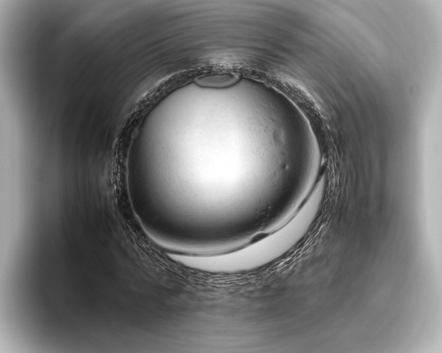 X0000096480776200801241443