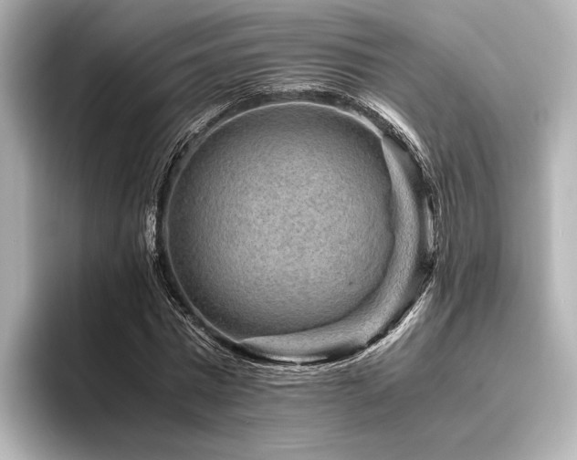 X0000096480777200801241443