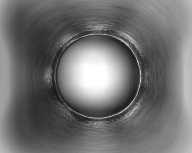 X0000096480778200801241443