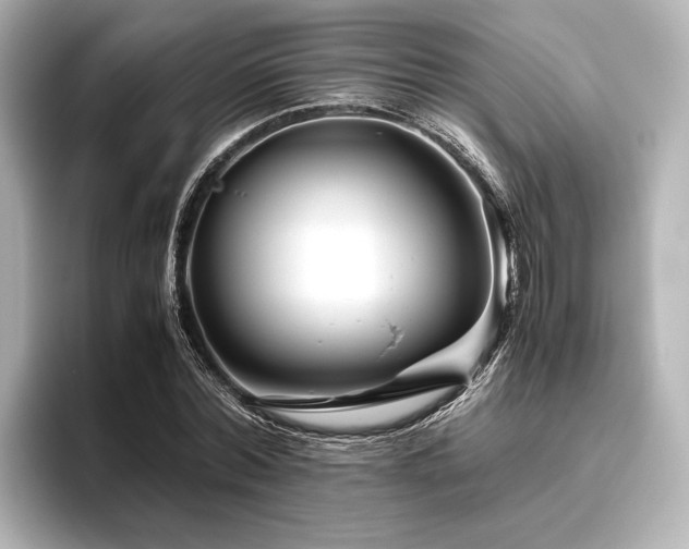 X0000096480780200801241443