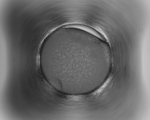 X0000096480781200801241443