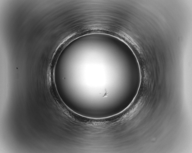 X0000096480782200801241443