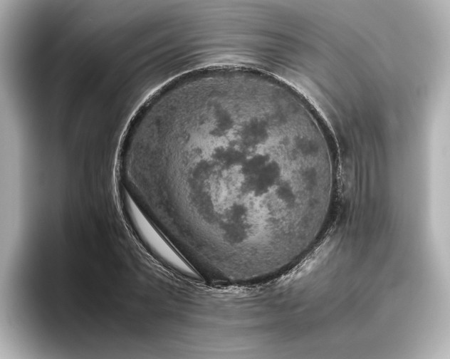 X0000096480783200801241443