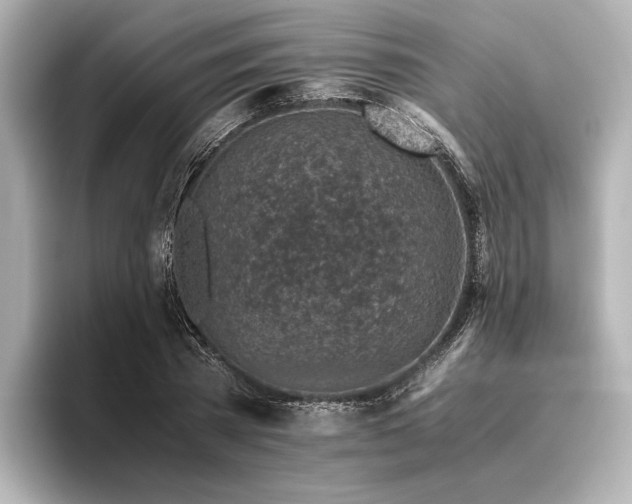 X0000096480785200801241443