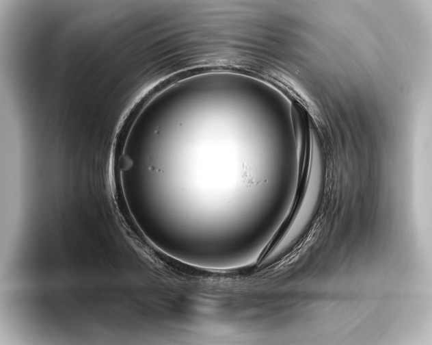 X0000096480788200801241443