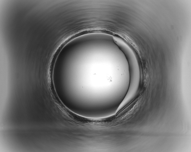 X0000096480789200801241443