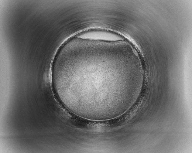 X0000096480791200801241443