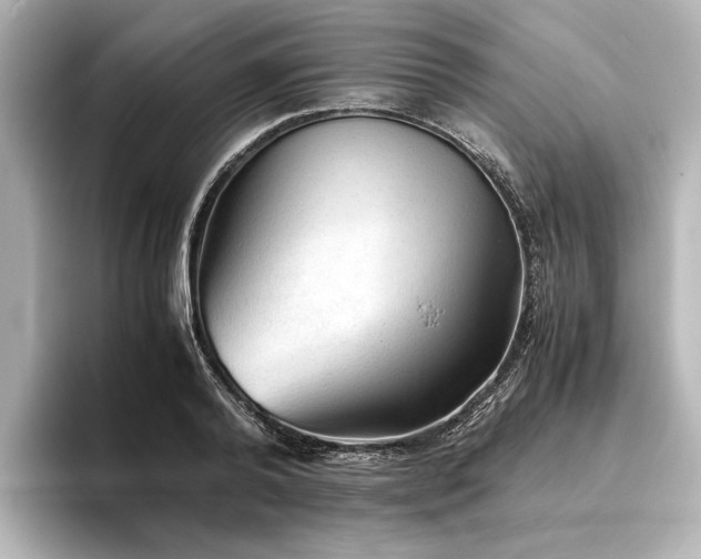 X0000096480792200801241443