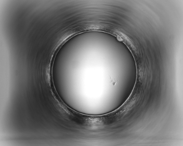 X0000096480794200801241443