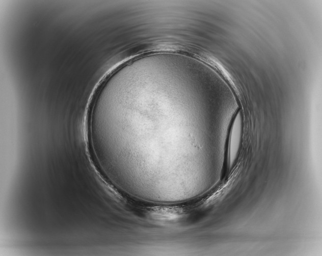 X0000096480795200801241443