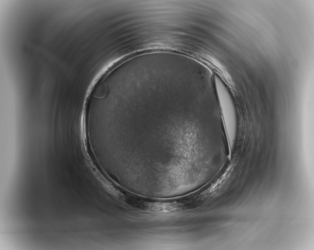 X0000096480796200801241443