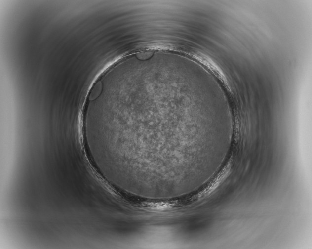 X0000096480798200801241443