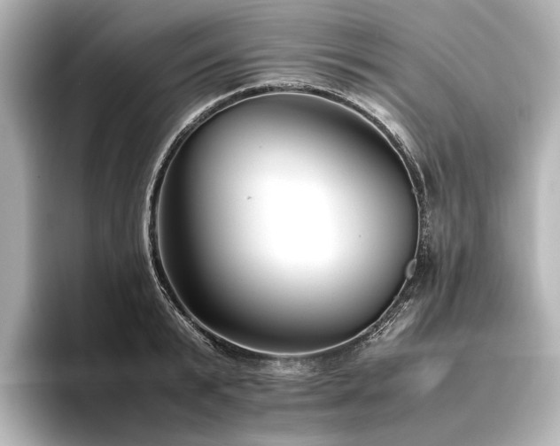 X0000096480799200801241443