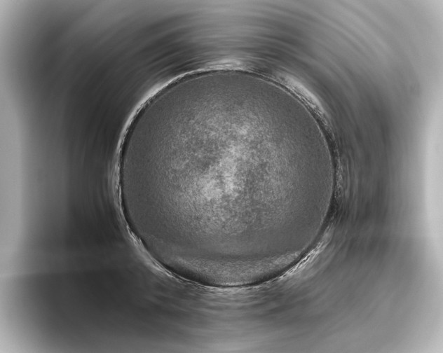 X0000096480800200801241443