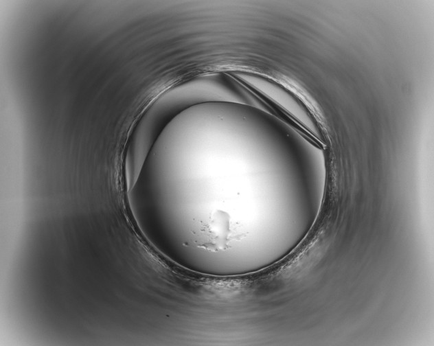 X0000096480801200801241443