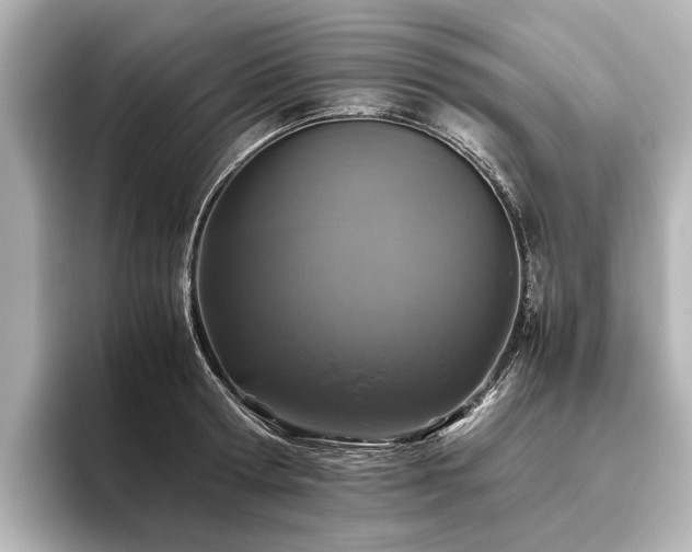 X0000096480802200801241443