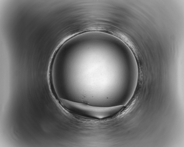 X0000096480803200801241443