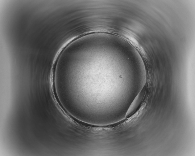 X0000096480804200801241443