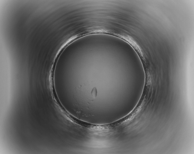 X0000096480806200801241443