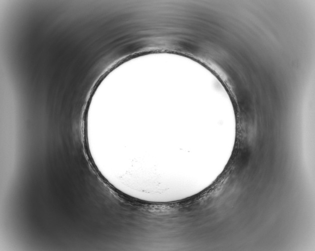 X0000096480807200801241443