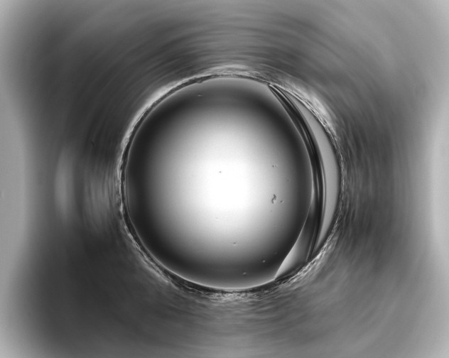 X0000096480808200801241443