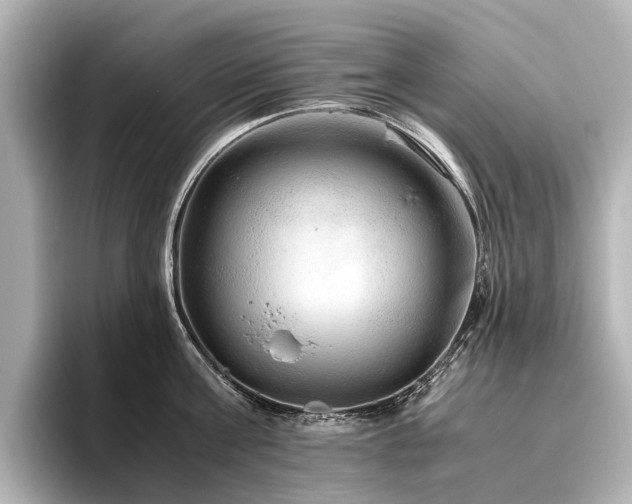 X0000096480811200801241443