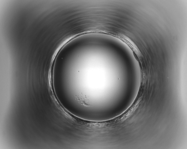 X0000096480812200801241443